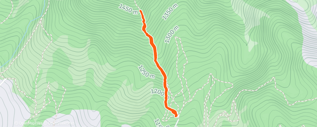 Map of the activity, Morning Trail Run