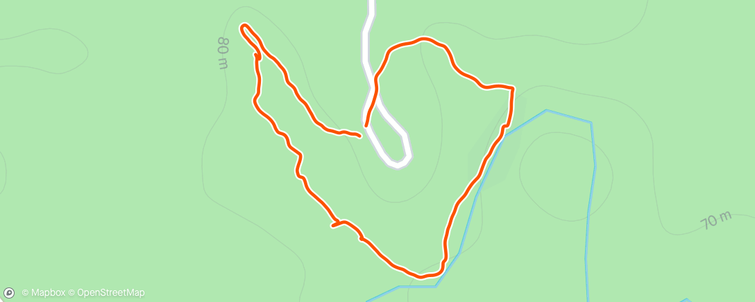 Карта физической активности (birds)