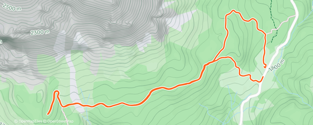 Карта физической активности (Walkie)