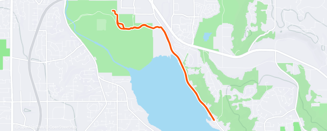 Карта физической активности (Lunch Run)