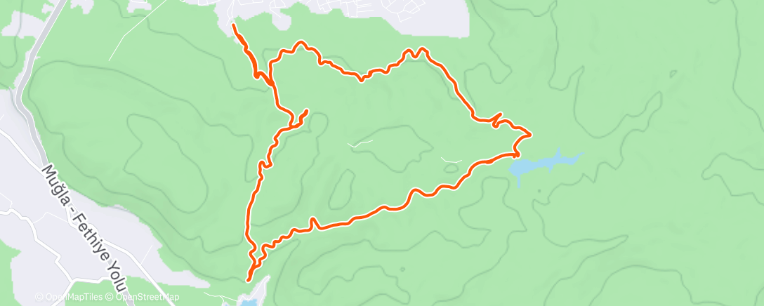 Карта физической активности (Afternoon Trail Run)