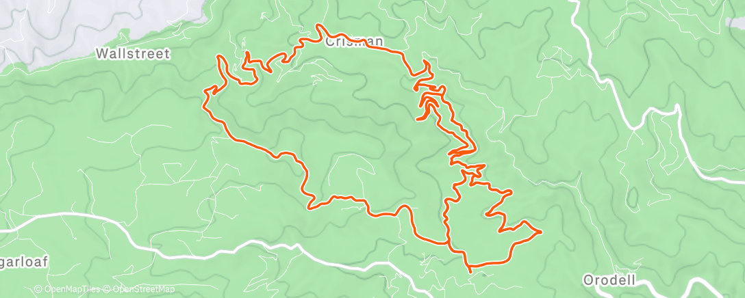 Mapa de la actividad, Morning Run