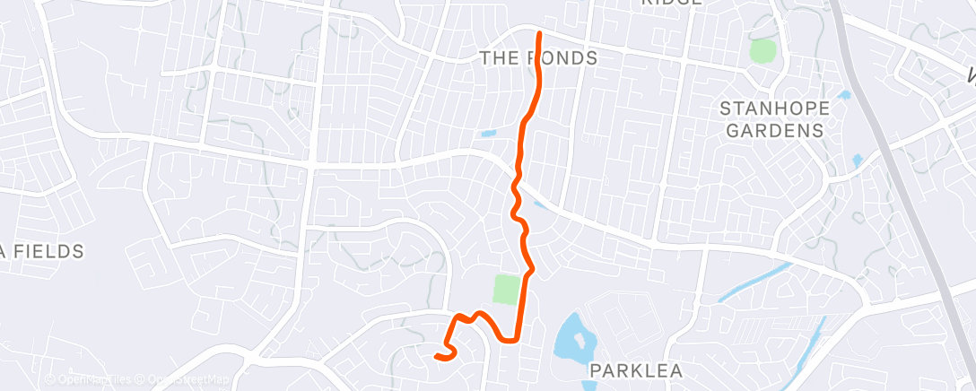 Map of the activity, Morning Run