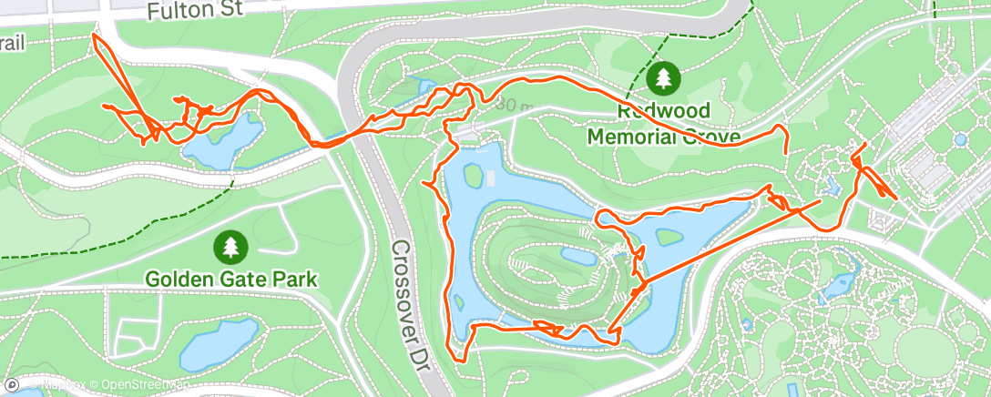 Map of the activity, Owls in Golden Gate