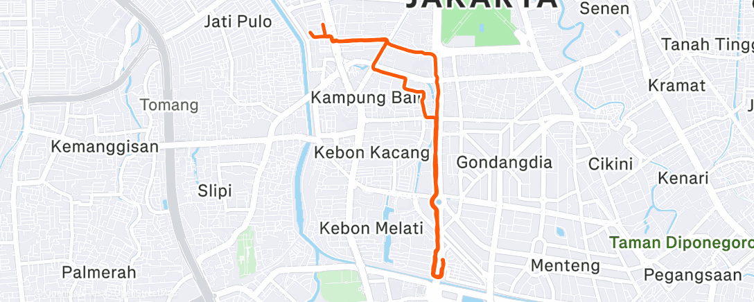 Map of the activity, Evening Run