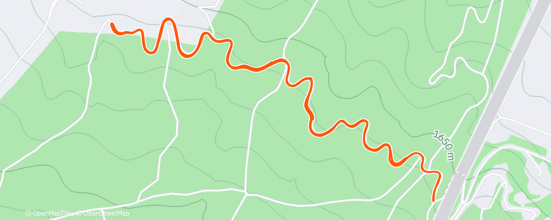 Карта физической активности (Evening Run)