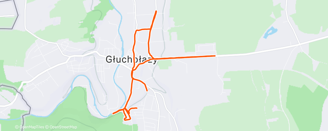 Map of the activity, Evening Run