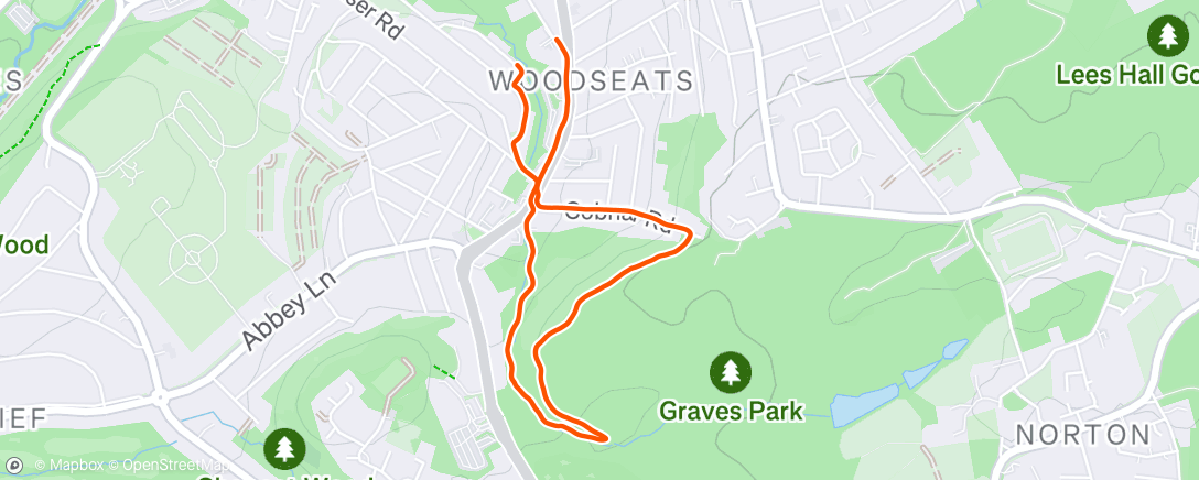 Map of the activity, Morning Run