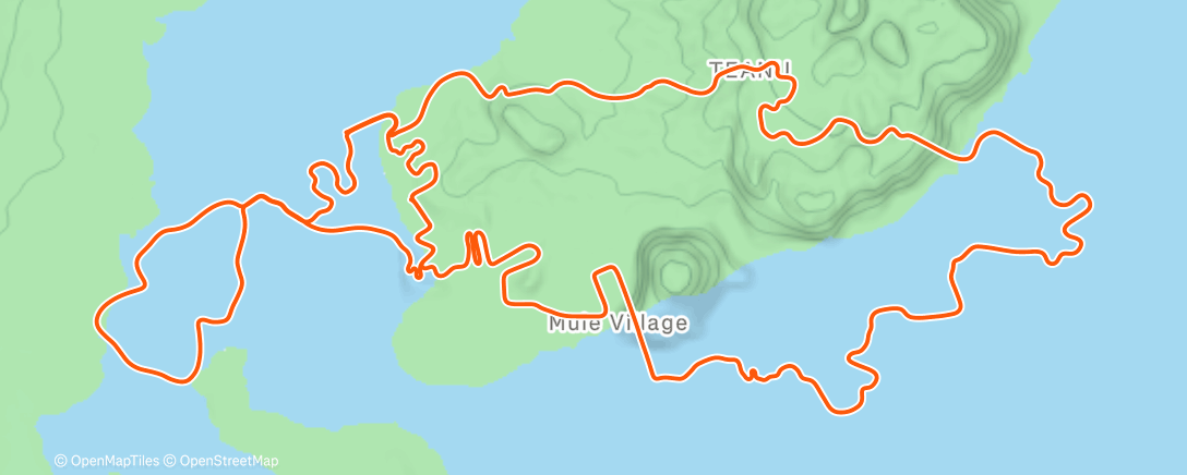Карта физической активности (💻🚴🏽‍♂️)