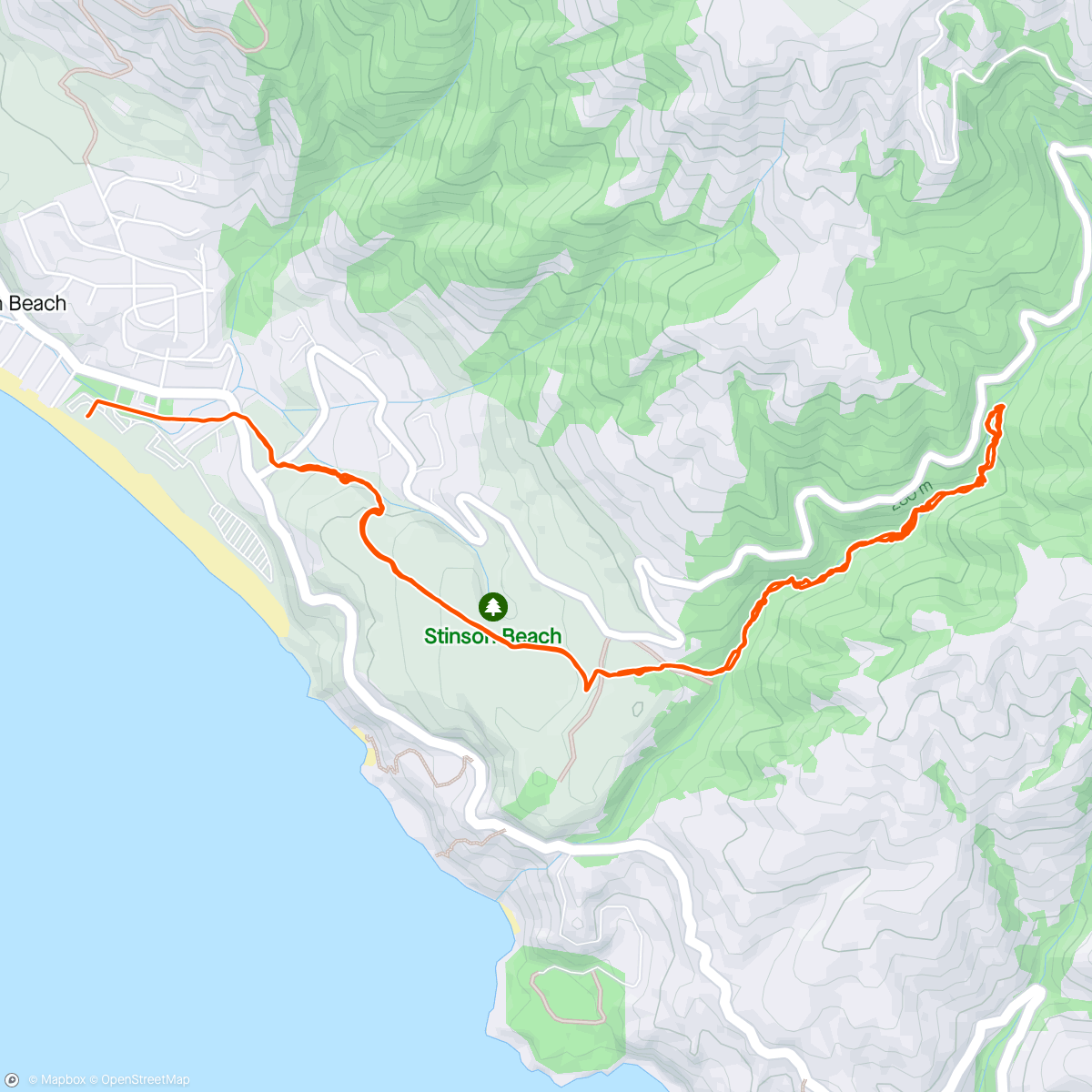 Map of the activity, Dipsea - Steep Ravine with Honey and marathon bug