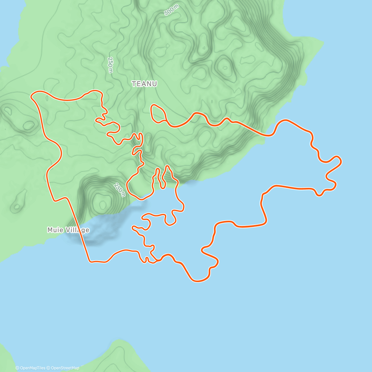 Map of the activity, Zwift - Zone 2 in Watopia