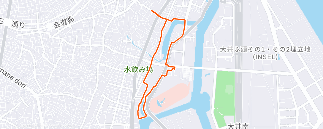 Карта физической активности (Lunch Run)