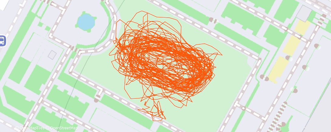 Map of the activity, Lunch Activity