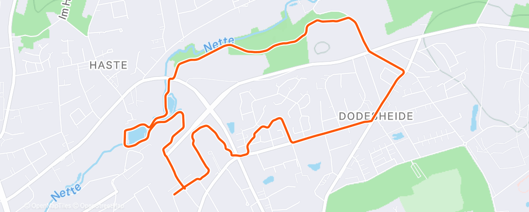 Карта физической активности (Lunch Run)