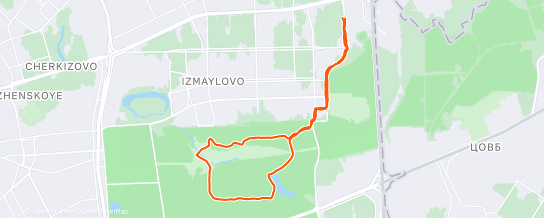 Map of the activity, Утренний забег