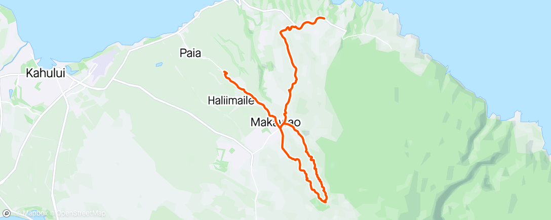 Map of the activity, Makawao Figure 8 but started Ol Strava late
