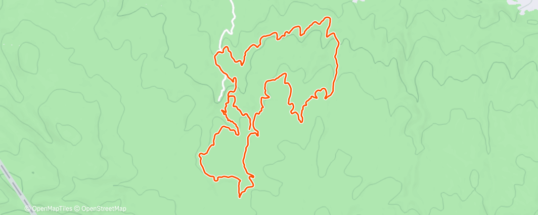 Карта физической активности (Morning Trail Run)