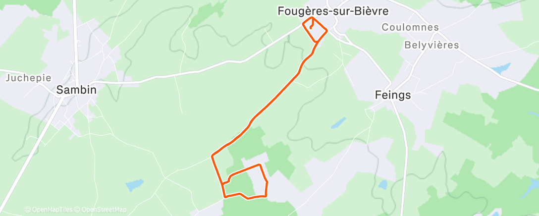 Map of the activity, Morning Run