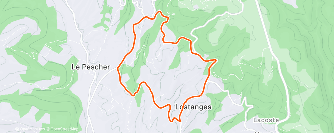 Map of the activity, Morning Run