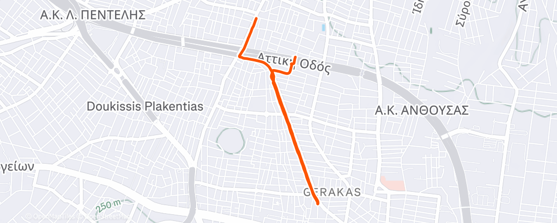 Map of the activity, Evening Run