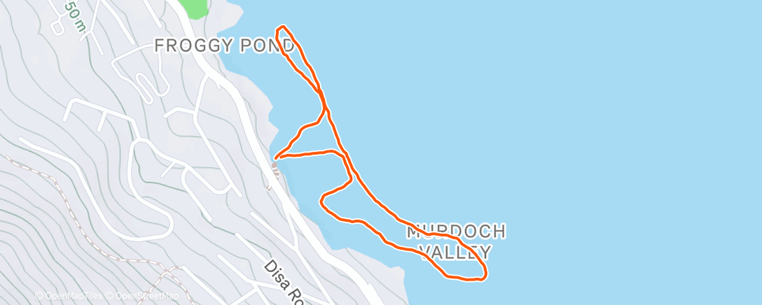 Карта физической активности (Scotty Adventure Swim)