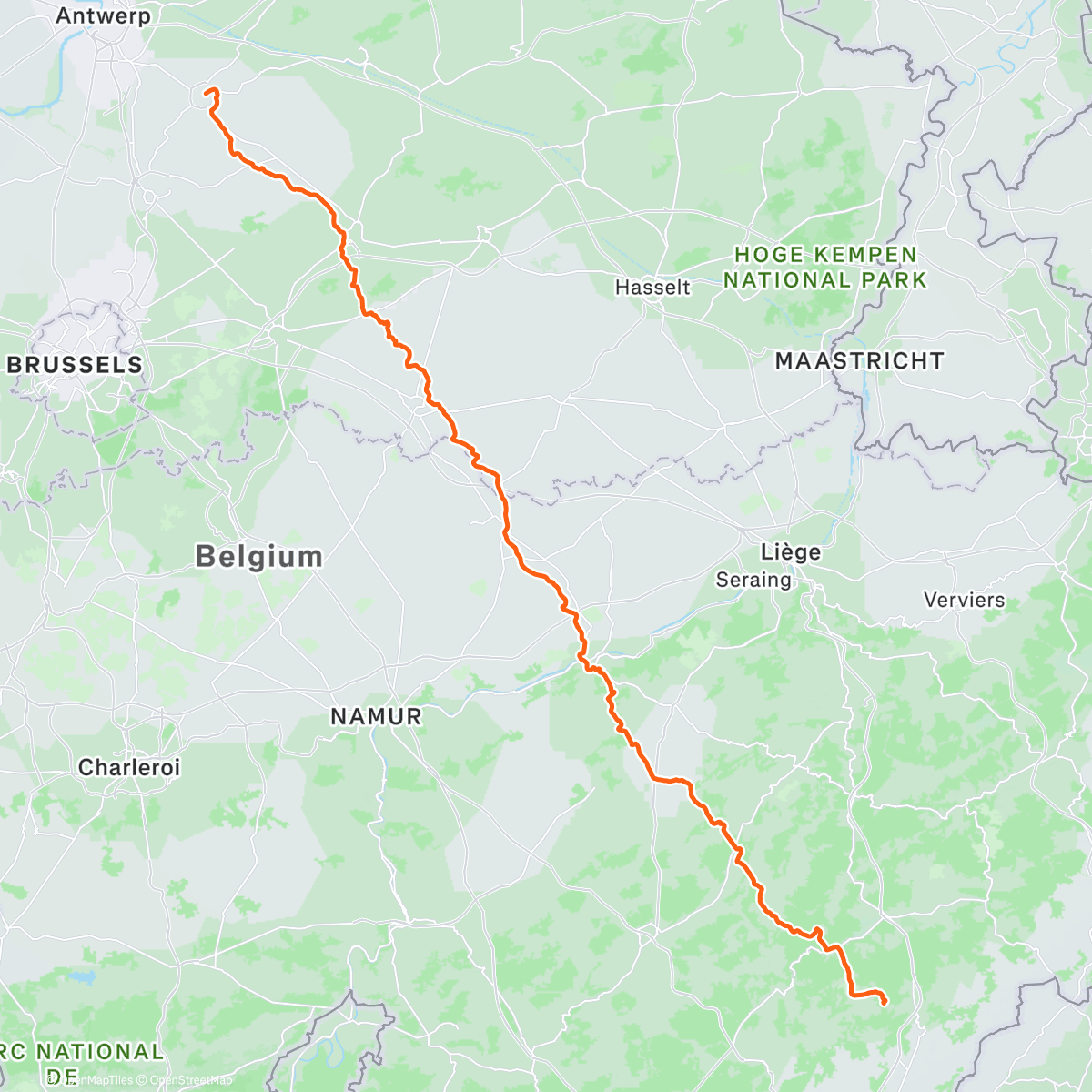 Map of the activity, Don't stand on my dog