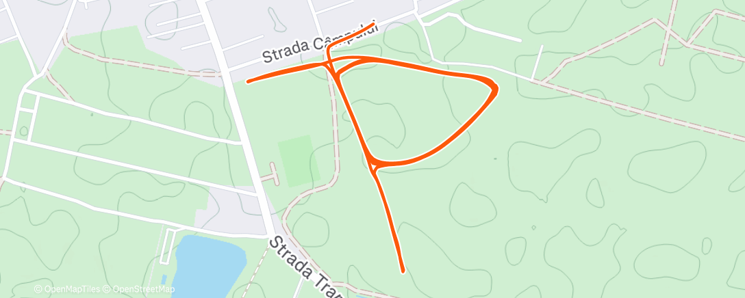 Карта физической активности (Lunch Run)