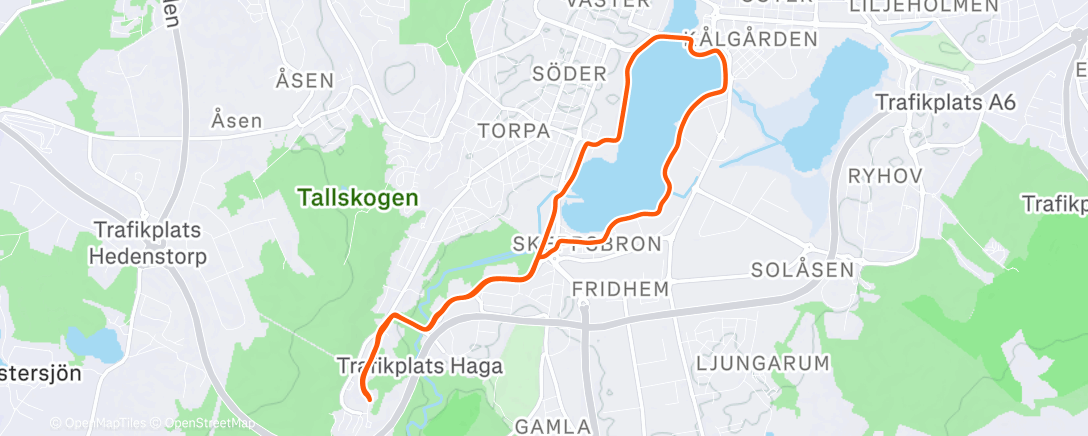 Карта физической активности (Afternoon Run)