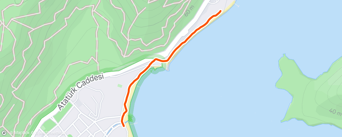 Map of the activity, Night Walk