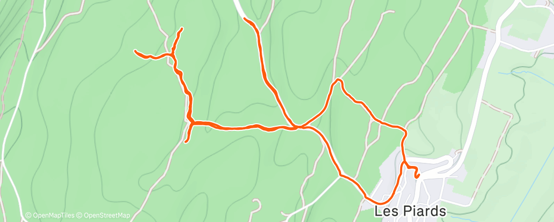 Карта физической активности (Marche dans l'après-midi)