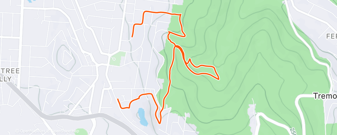 Карта физической активности (Morning Run)