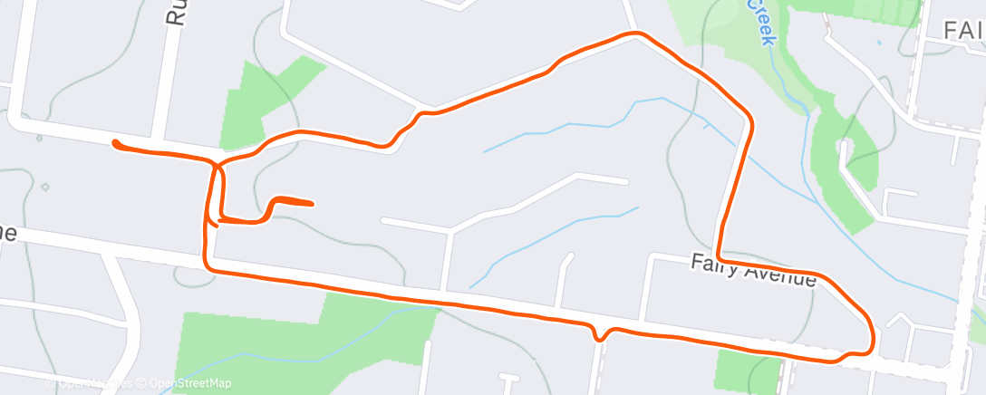 Map of the activity, Morning Run