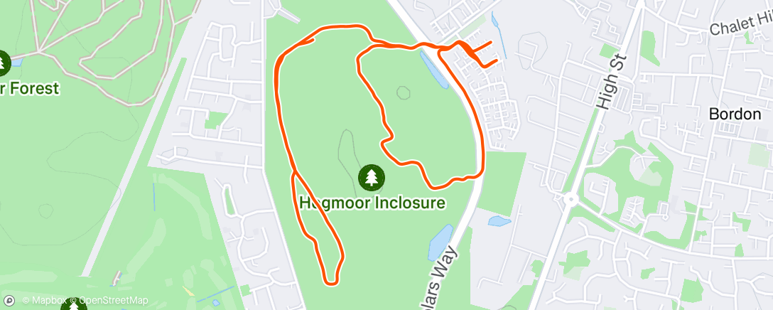 Map of the activity, Cool Down with the doggo