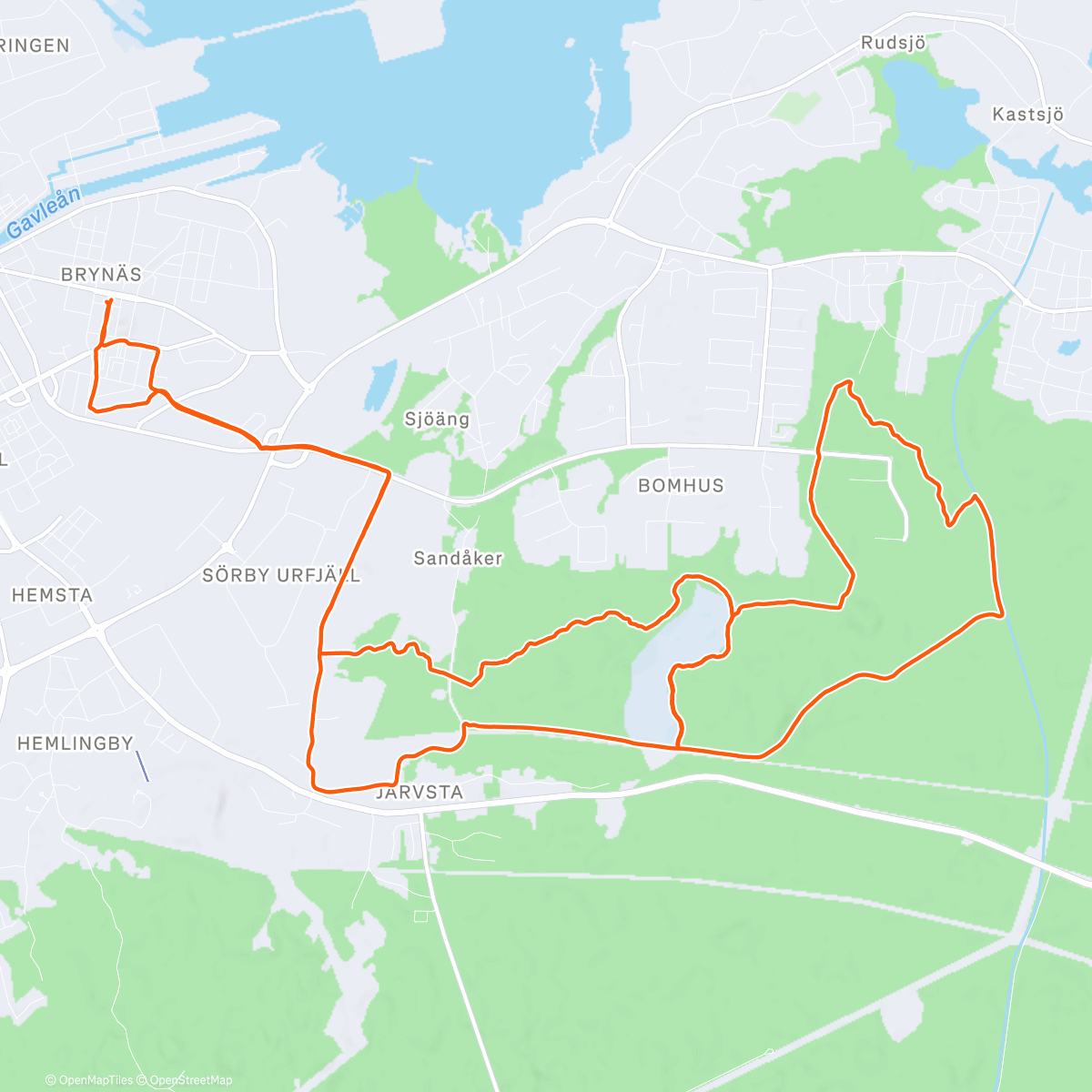 Карта физической активности (Bli lite jagad i skogen av en drönare)