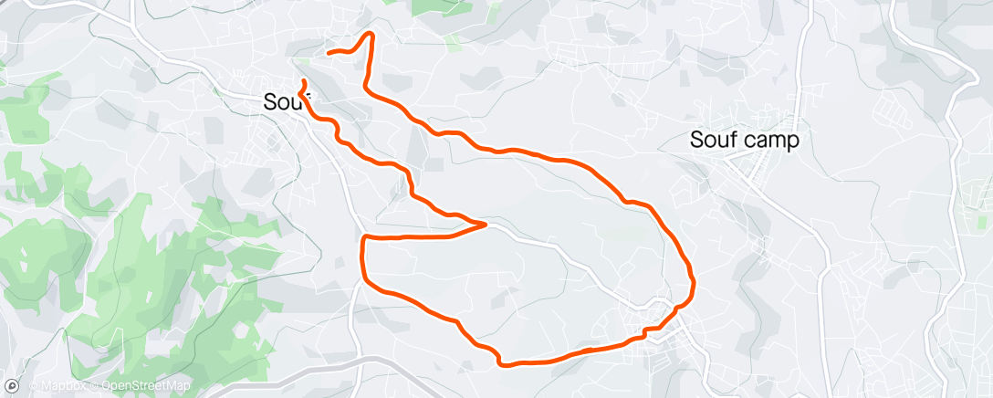 Карта физической активности (Recovery Morning Trail Run 😎)