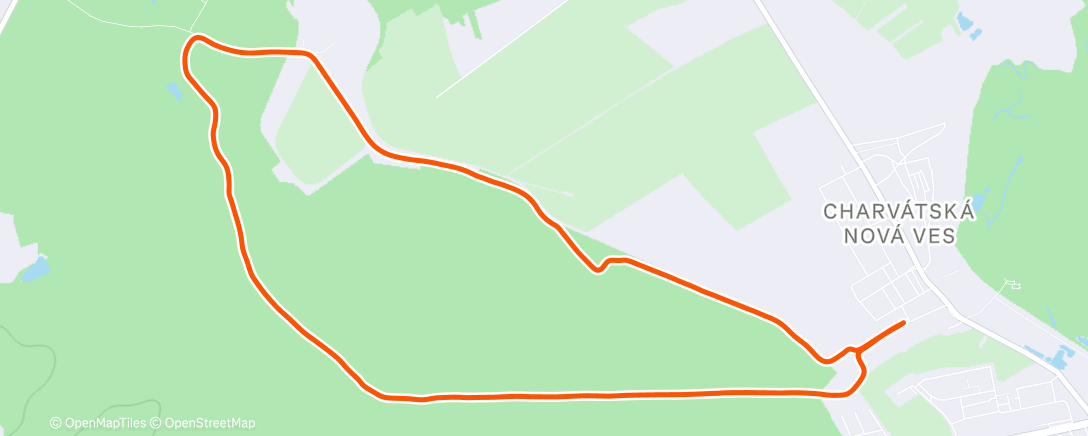 Map of the activity, Morning Run