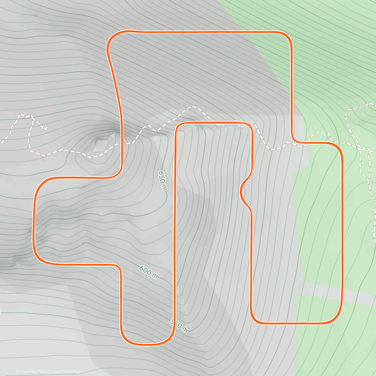 Map of the activity, Zwift - Usual Progression Half Marathon