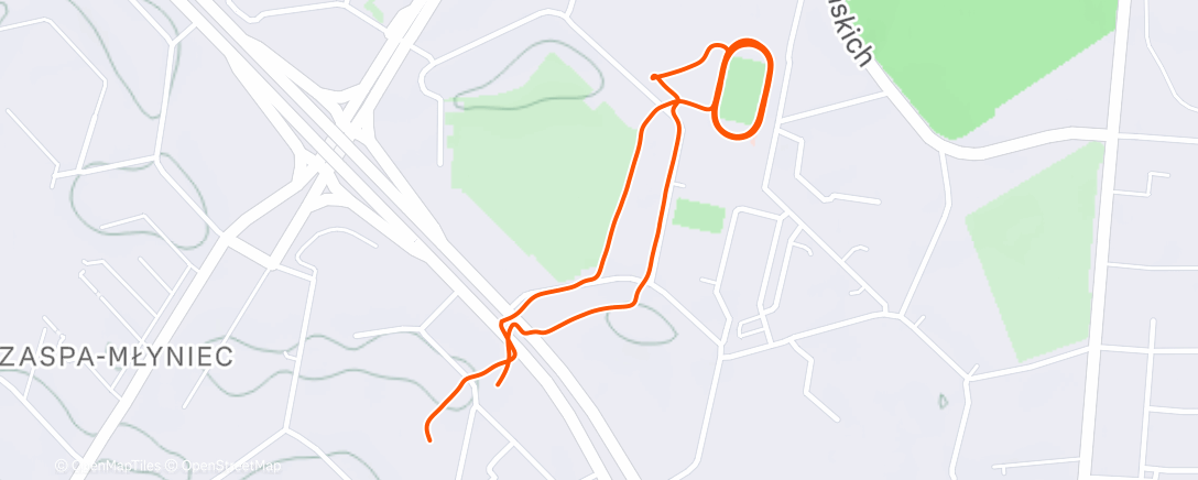 Карта физической активности (Easy run)