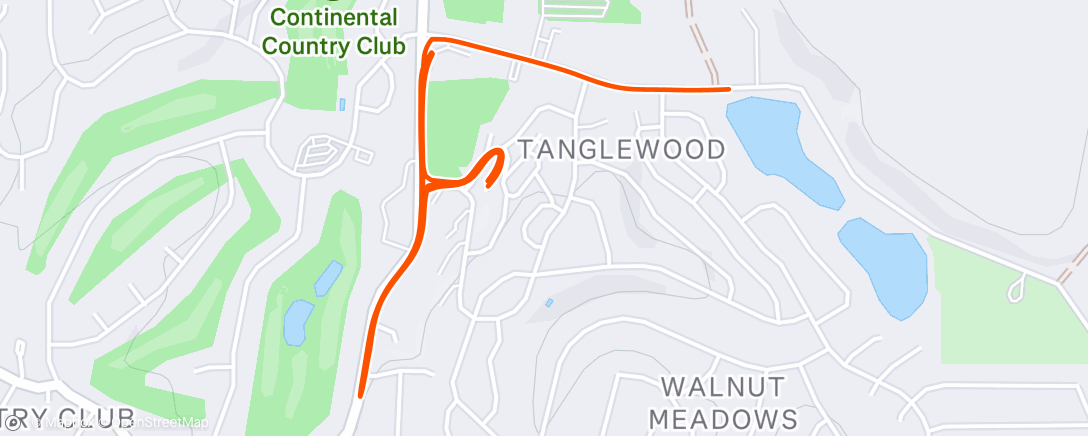 Mappa dell'attività Lunch Run