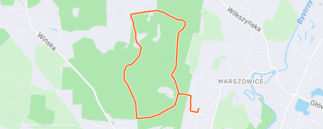 Карта физической активности (Afternoon Run)