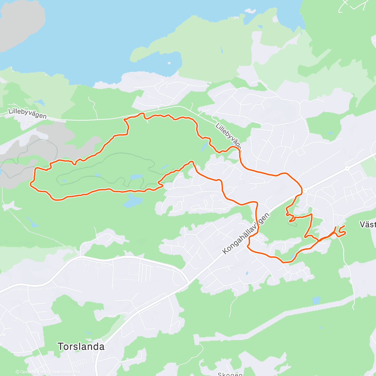 Карта физической активности (Colouring 👟)