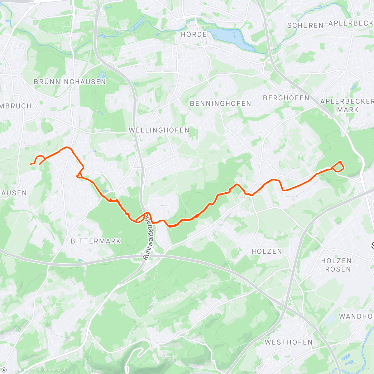 Map of the activity, Trail am Morgen