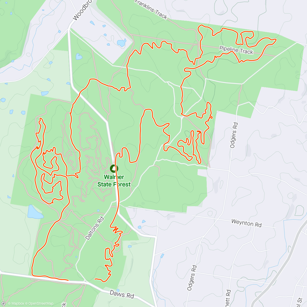 Map of the activity, Walmer Forrest