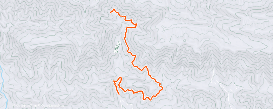 Карта физической активности (Am gym - am run)