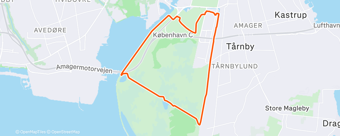 Map of the activity, Morning Run