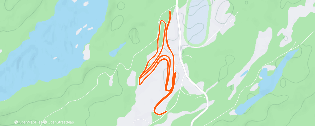 Карта физической активности (Bestemorenga ⛄🌙🌀)