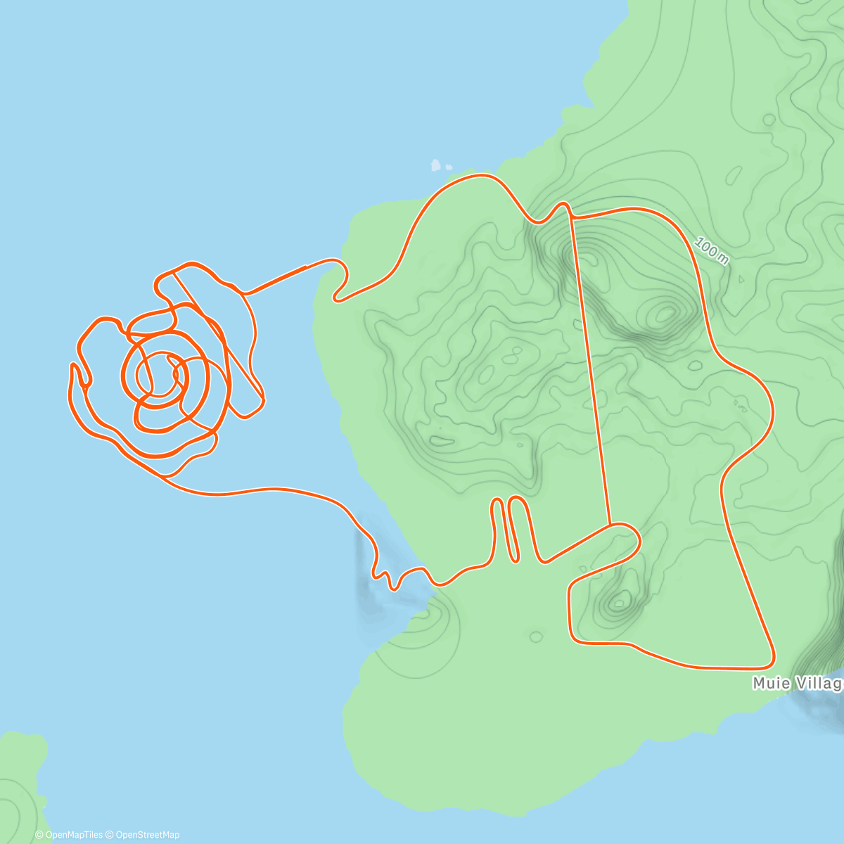 Карта физической активности (Zwift - Whole Lotta Lava in Watopia)