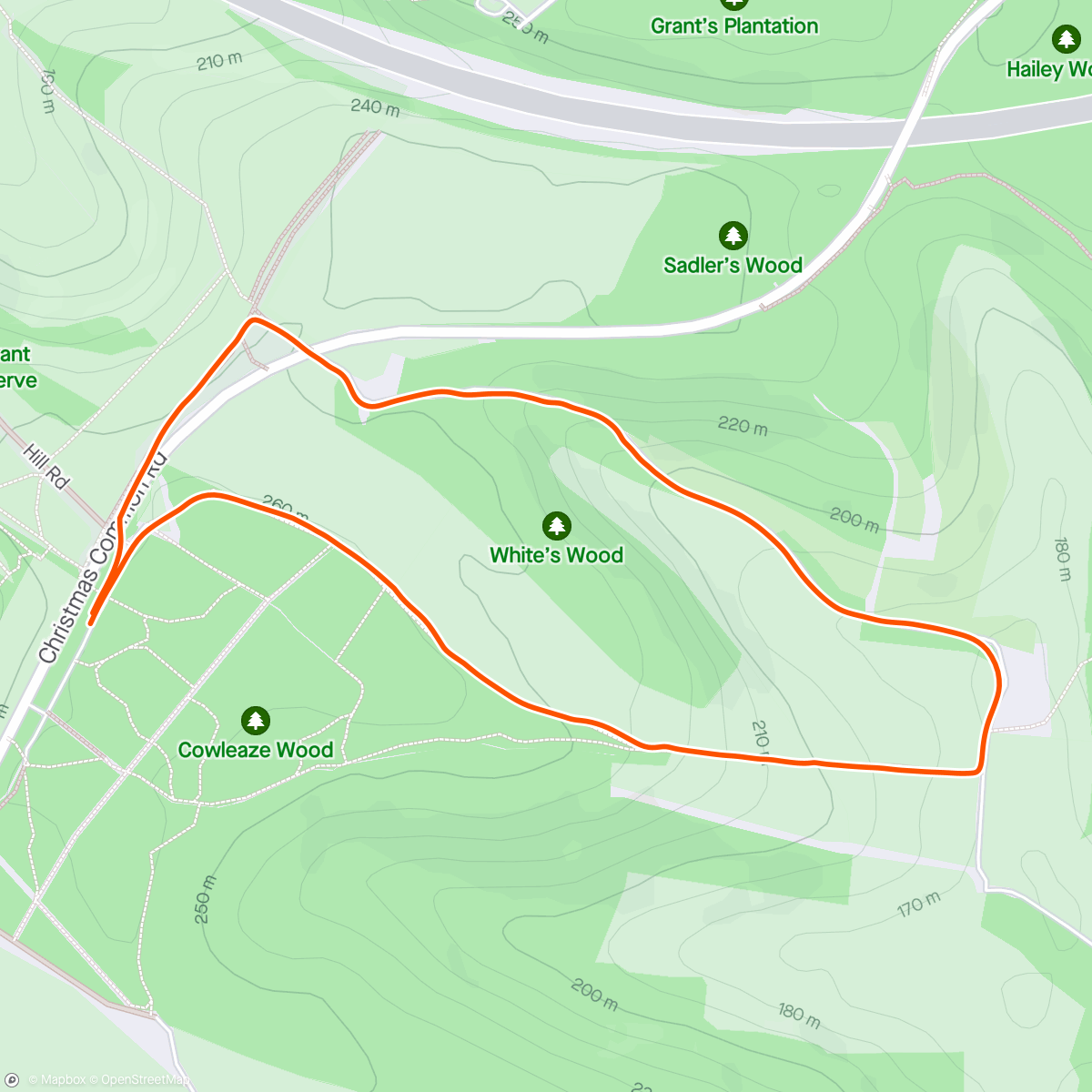 Map of the activity, walk through Cowleaze Wood