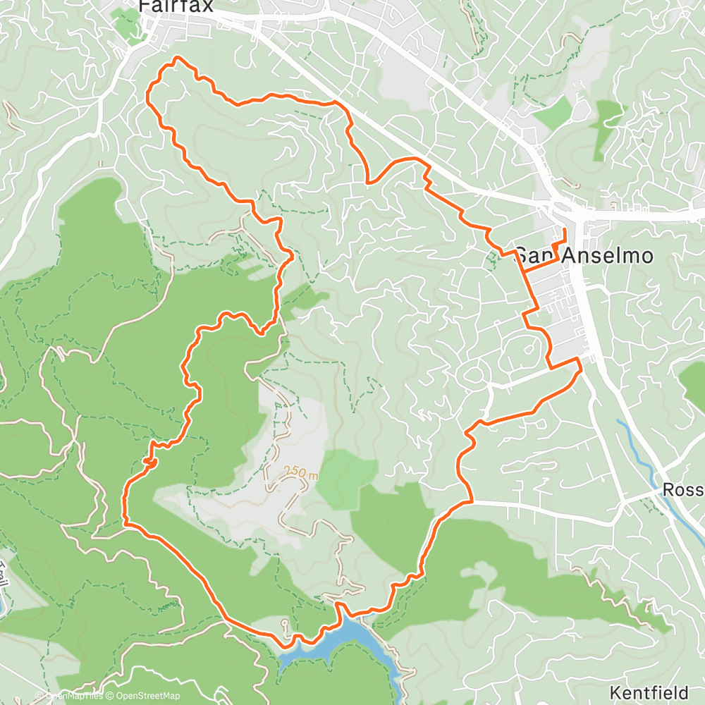 Map of the activity