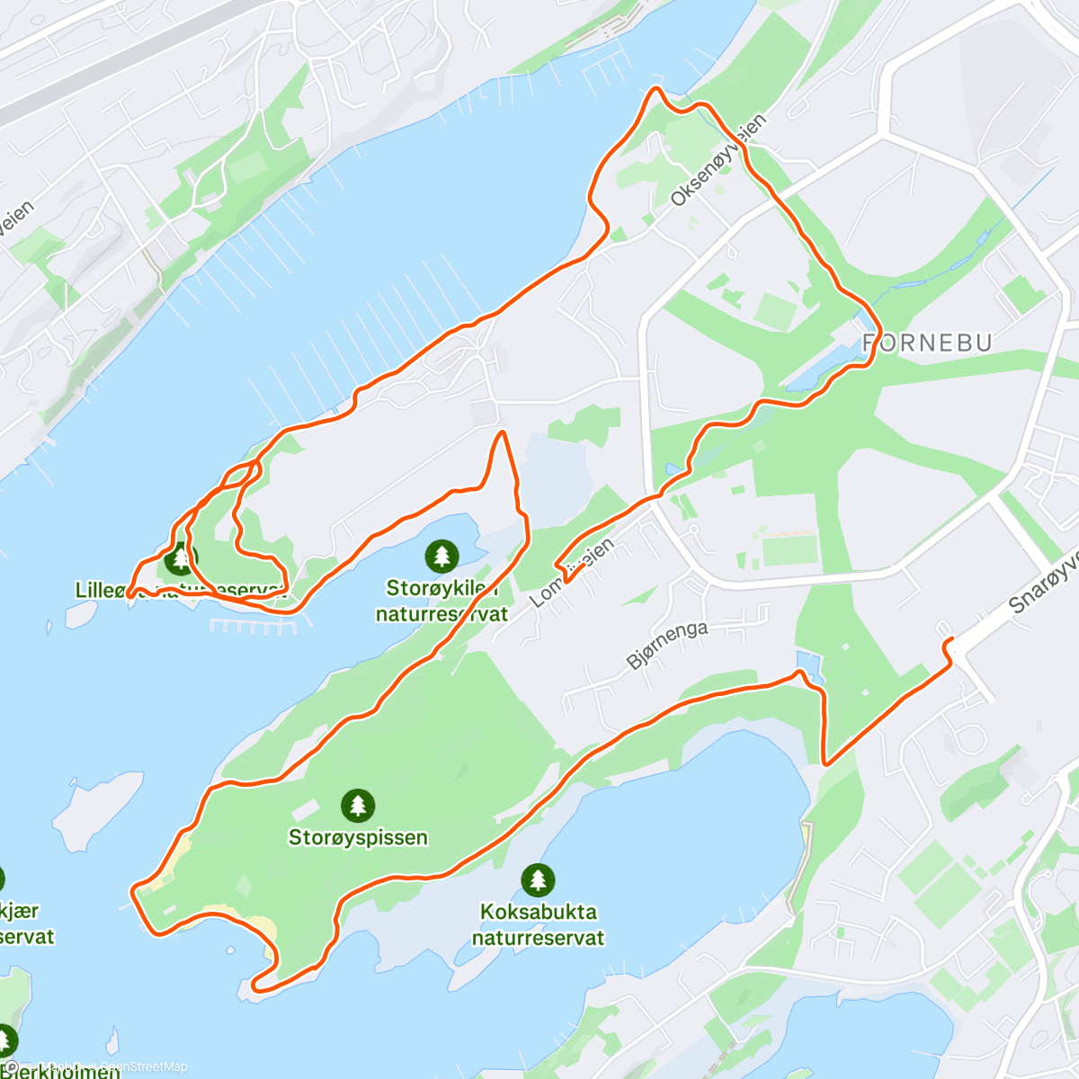 Map of the activity, Bena like fine i dag, så da gikk det kanskje bra 🥰